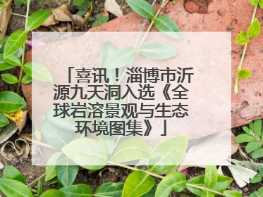 喜讯！淄博市沂源九天洞入选《全球岩溶景观与生态环境图集》